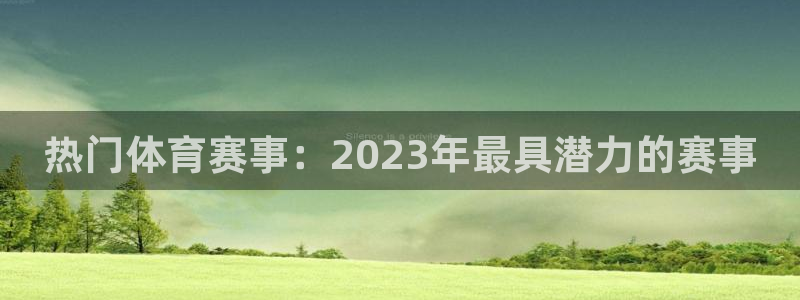 热门体育赛事：2023年最具潜力的赛事