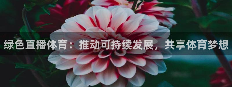 绿色直播体育：推动可持续发展，共享体育梦想