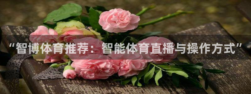 “智博体育推荐：智能体育直播与操作方式”