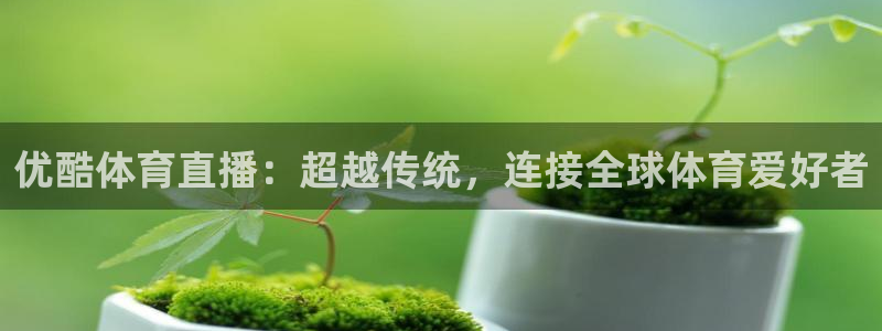 优酷体育直播：超越传统，连接全球体育爱好者