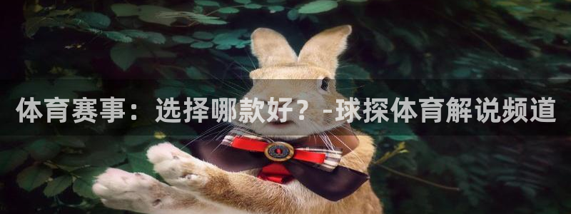 体育赛事：选择哪款好？-球探体育解说频道