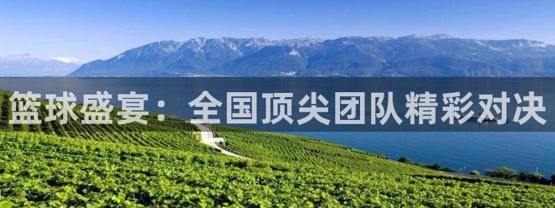篮球盛宴：全国顶尖团队精彩对决