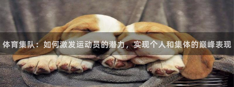 体育集队：如何激发运动员的潜力，实现个人和集体的巅峰表现