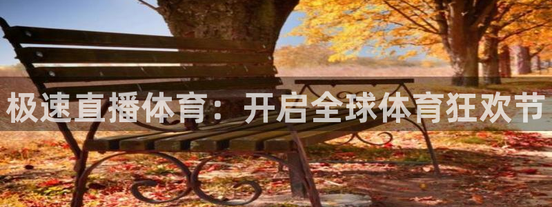极速直播体育：开启全球体育狂欢节