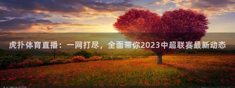 虎扑体育直播：一网打尽，全面带你2023中超联赛最新动态