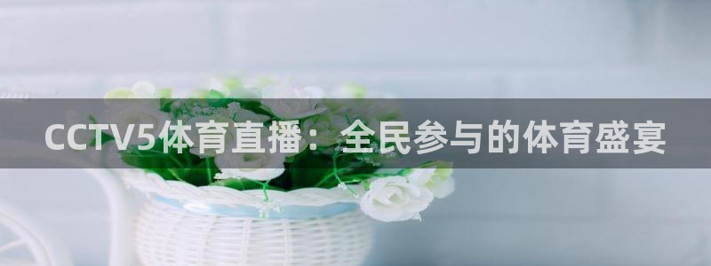 CCTV5体育直播：全民参与的体育盛宴